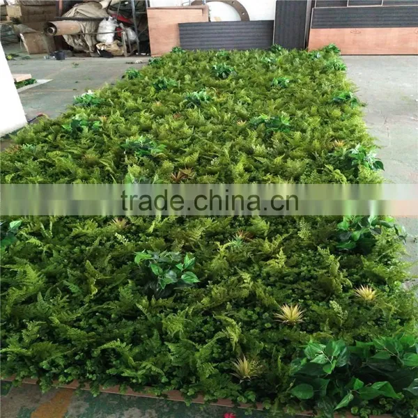 2017 Hot Sale Artificial Ornamental Plants for Wall Decoration Cheap Artificial Plant Wall photo-4