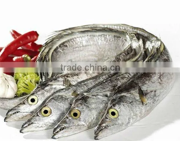 Ribbon Fish