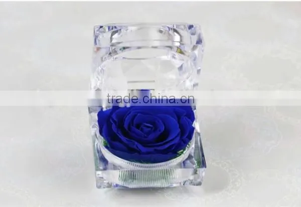 Fashionable And Natural Real Rose Preserved Flowers Wholesale With Acrylic Ring Box Decoration photo-2