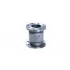 2PC Flanged Check Valve