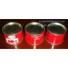 Canned Tomato Paste Brix 28-30% 425gx24tins photo-3