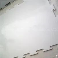 Synthetic Ice Rink