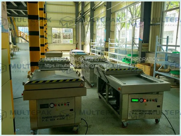 Multepak Automatic Double Chamber Food Vacuum Packaging Machine photo-2