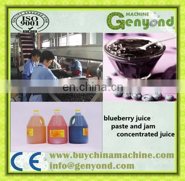High Quality Fruit Jam Production Line In Shanghai photo-2