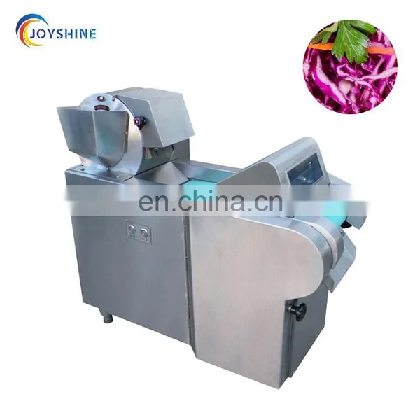 Stainless Steel Fruit and Vegetable Slice Cutting Machine photo-4