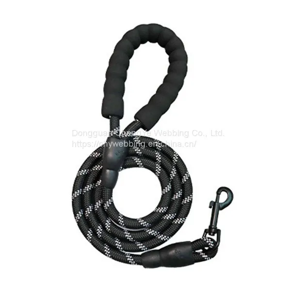 Pet Leash photo-3