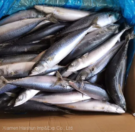 Frozen Pacific Mackerel