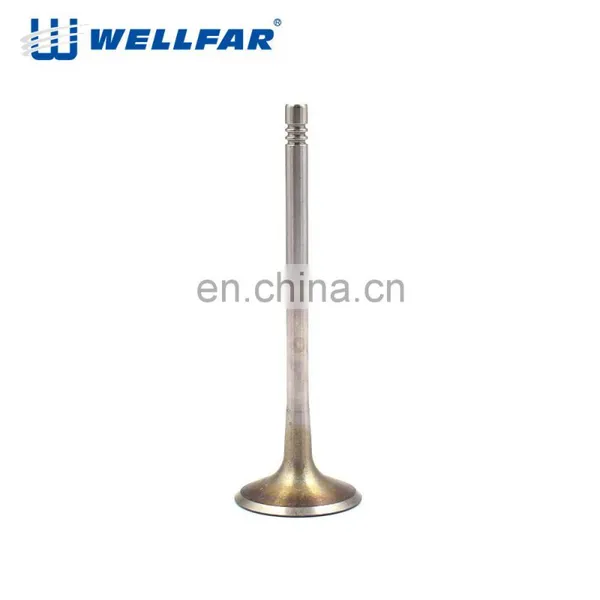 Wellfar High Quality Europea 21-4N Engine Parts Oe 06D 109 611H C7 Intake And Exhaust Engine Valves photo-3