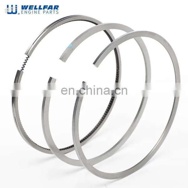 Wellfar 2W6091 3304 3306 Diesel Engine 120.65Mm 9S3068 Piston Ring For Caterpillar photo-3