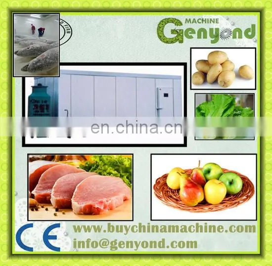 Vegetable/ Fruits /meat/ Beef Quick Freeze Warehouse 200mm photo-2