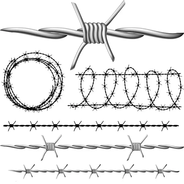 Steel Iron Wire Mesh Blade Razor Barbed Wire for Restricted Areas photo-5