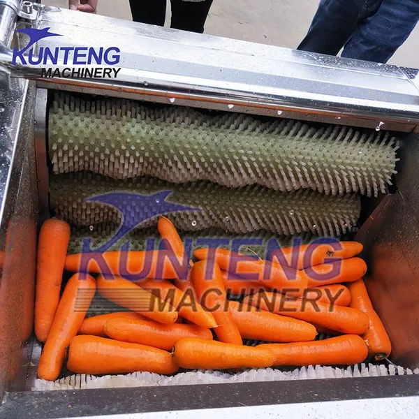 Commercial Fresh Ginger Washing and Peeling Machine Vegetable Washers Shell Fish Carrot Dates Potato Cleaning Machine EPC photo-3