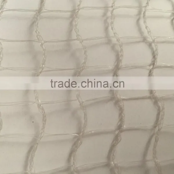 Customized Agriculture Birds for Sale / Bird Netting photo-2