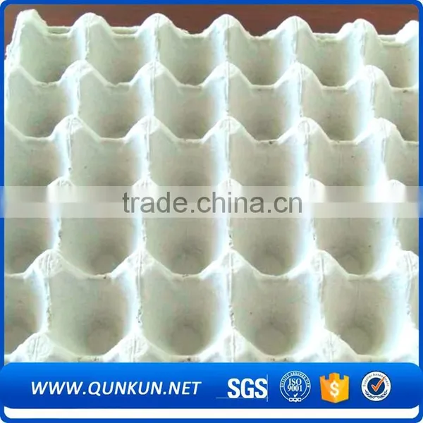 Wholesale Price 24 Quail Eggs Tray photo-6