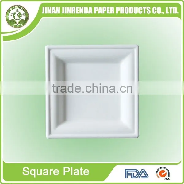 Disposable 8 Inch Paper Plate photo-3