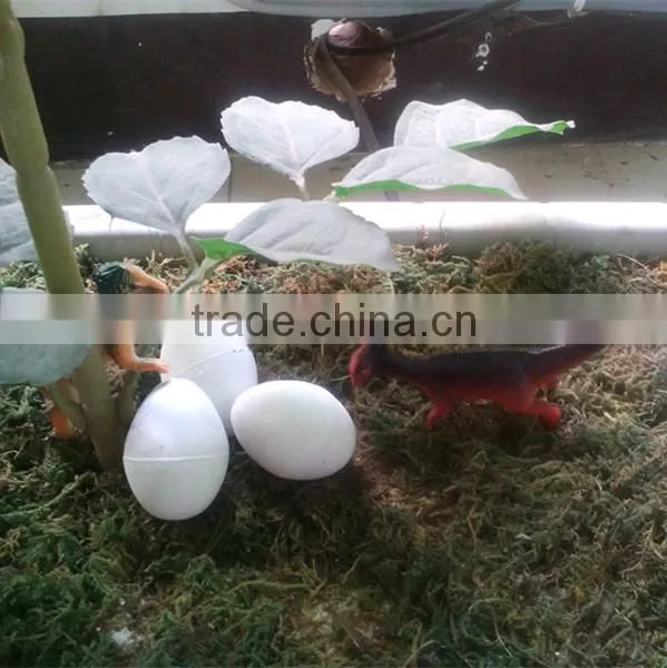 Dinasour Egg Grow Expand in Water Growing Toy