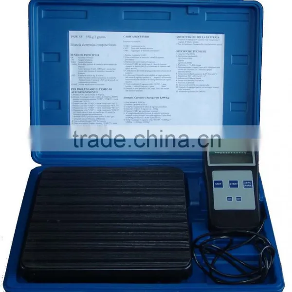 Portable Scale