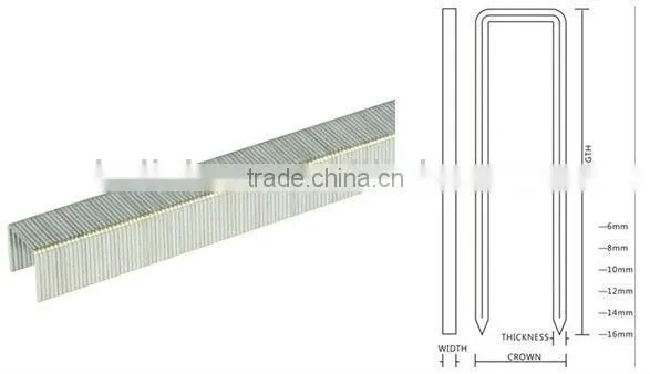 71 Series Furniture Staple Nails