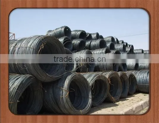 China Standard Hot Sale Steel Wire Rod Shareholders photo-6