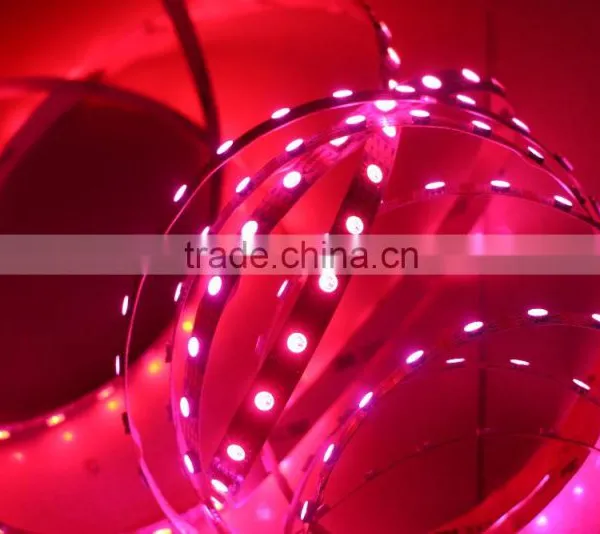 Digital Addressable Rgb Led Strip Non-waterproof Ws2813 Ws2812b Led Strip photo-5