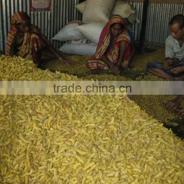 Organic Turmeric Finger photo-3