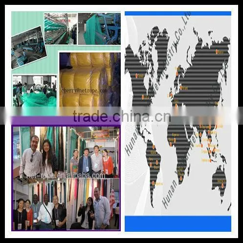 Xinhai Brand PE Fishing Net Agricultural Chap Anti Bird Netting Manufacturer photo-6