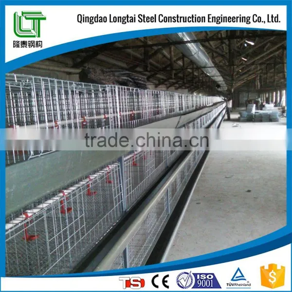 EPS Sandwich Panel Fire Proof Steel Structure Design Poultry Farm Shed photo-3