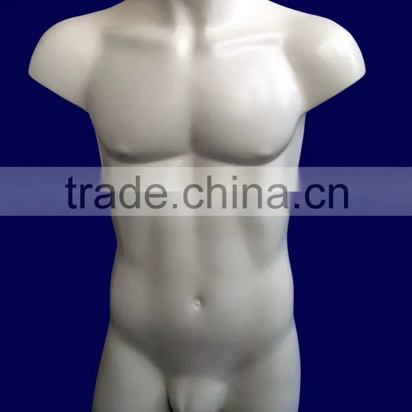Male Torso Bust Mannequins photo-2
