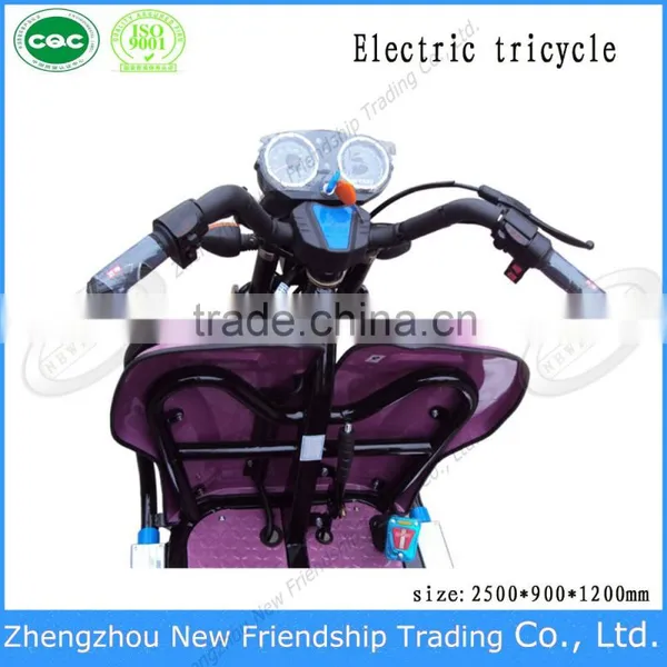2016 Low Pollution 2 Seater Adult Electric Bicycle photo-4