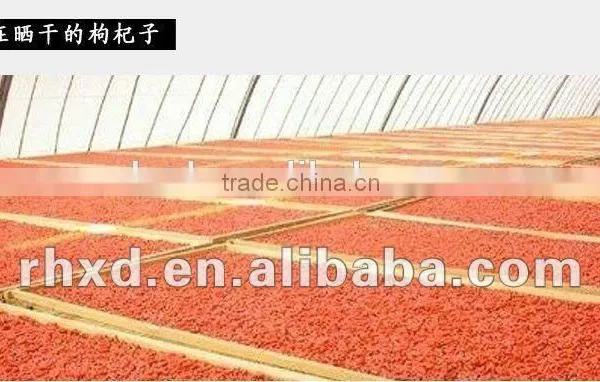 High Quality Dried Raw Goji Berries photo-6