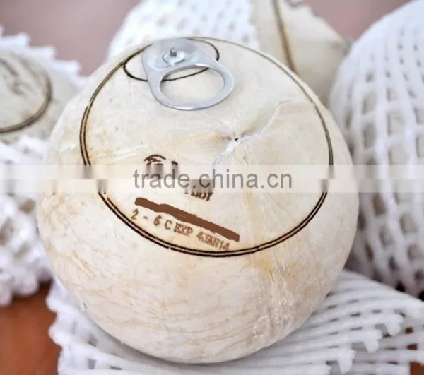 Coconut Water photo-2