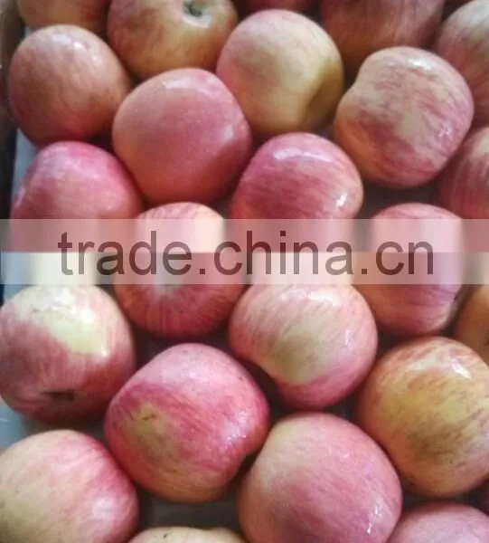 Grade A Fuji Apple/80% and up Red Colour photo-2