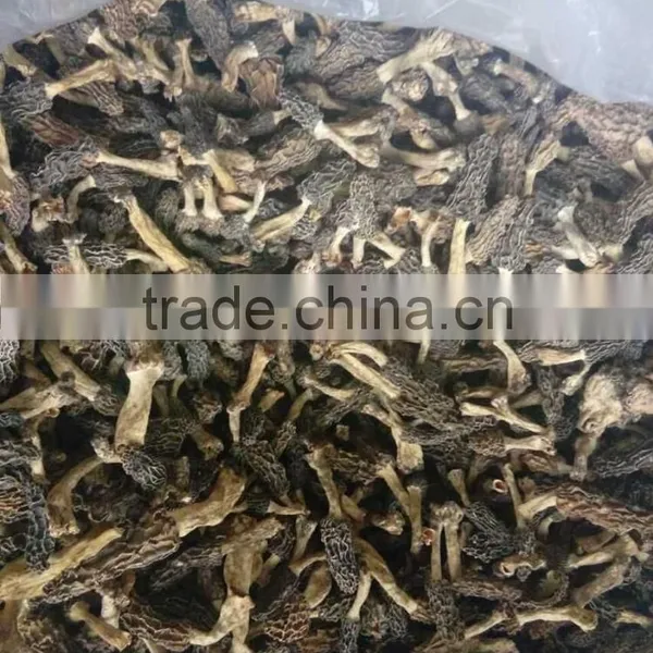 Dry Morchella Conica Price Dried Morel Mushrooms China Dry Mushroom photo-3