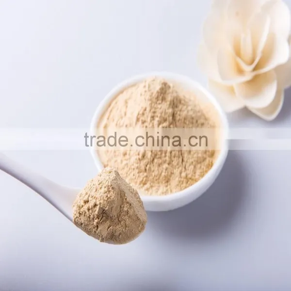 80 Mesh Grated Fresh Ginger Ginger Powder photo-2