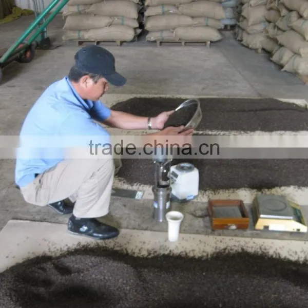 BLACK PEPPER photo-4