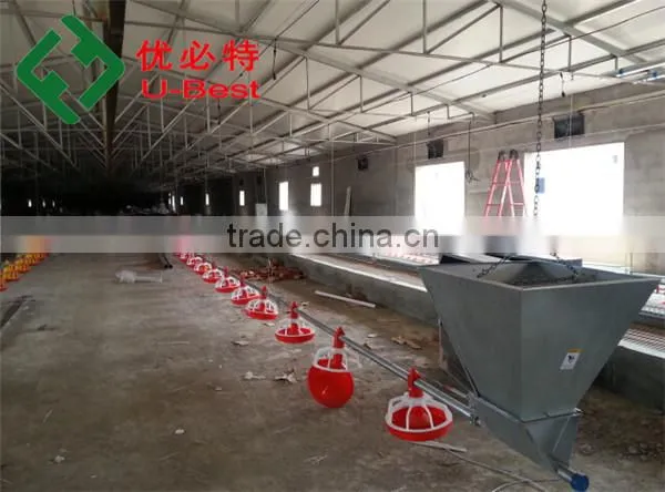 Popular Chicken Automatic Feeder and Drinker for Broiler Parent Breeder photo-3