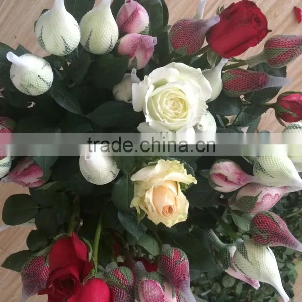 Natural Fresh Flower Fresh Rose From Kunming photo-5