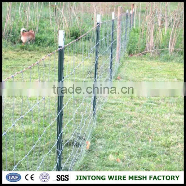 Galvanized Square Wire Mesh China Cattle Yard Panel With Gate Animal Wire Mesh Fence for Livestock photo-6