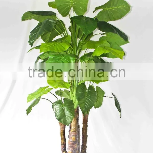 Wholesale Outdoor Use Potted Plants photo-2