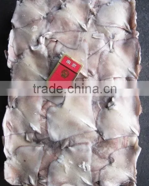 Frozen Gaint Sqiud Wing photo-4