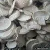 Sell FD Mushroom