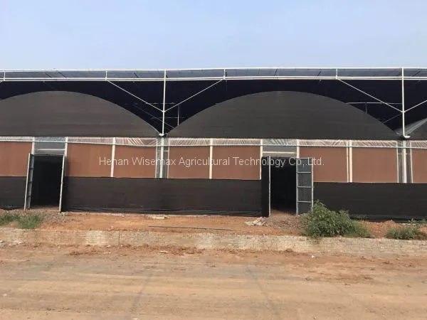 Easily Installed Commercial Tomato Multi Span Greenhouse for Sale photo-2