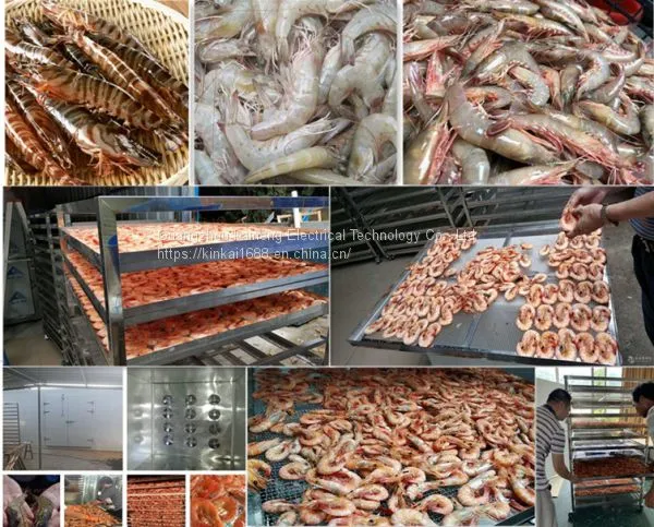 Shrimp, Fish Drying, Seafood Dryer
