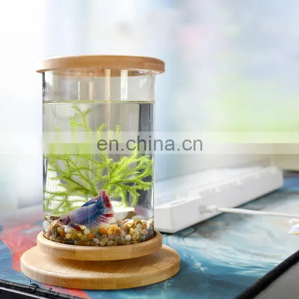 Desktop Eco Bottle Creative Office Tempered Glass Micro Landscape Tank Rotating Bedroom Fish Tank Fish Tank Mini Small photo-7