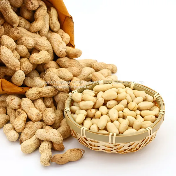 HIGH QUALITY BLANCHED PEANUT KERNELS 29/33 BY JUNAN KAIBING photo-5