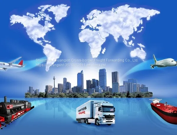 China to the U.S. Shipping Line Logistics photo-3