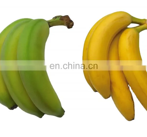 A Nutritious Fresh Banana From Vietnam photo-2
