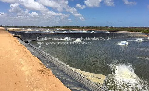 0.50mm Thick HDPE Geotextile Film for Raising Shrimp in High Water Ponds photo-5