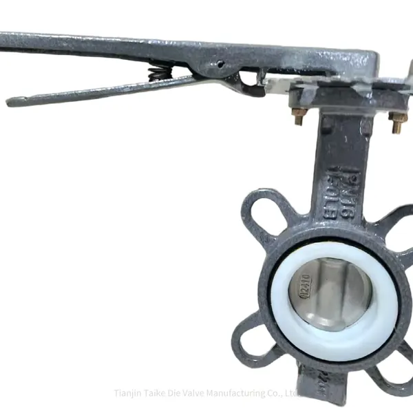 Jintaike Factory Directly Supplies Manual Ptfe Butterfly Valve D71f With High - Quality Frp Ptfe Valve Seat, Fluorine - Lining Available photo-4