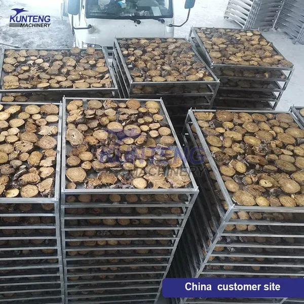 Electric Egg Tray Fish Maw Dryer Cow Skin Dry Leather Machine Biomass Firewood Bagasse Corn Kernel Drying Machine Dehydrator EPC photo-4